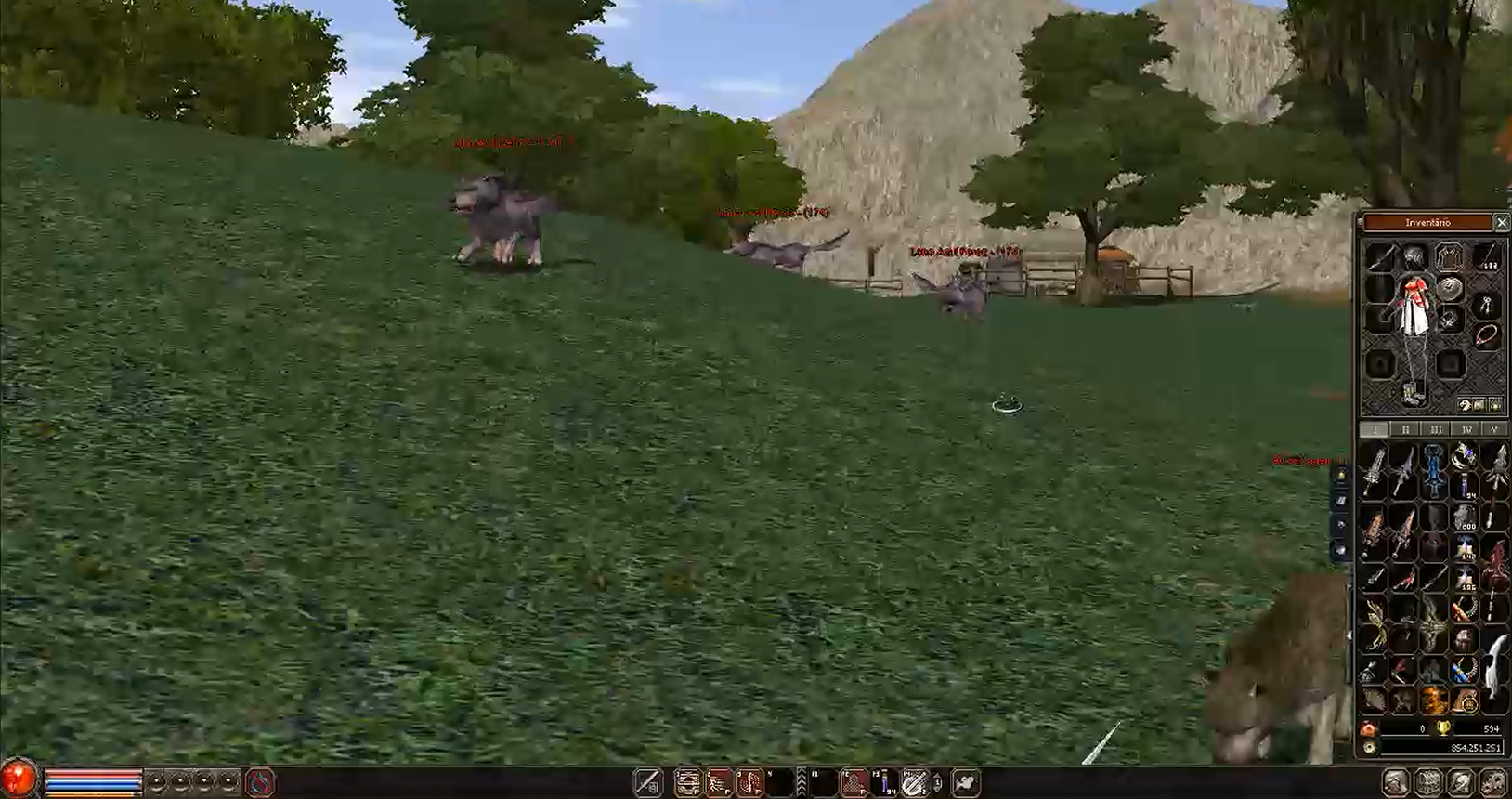 First Person View